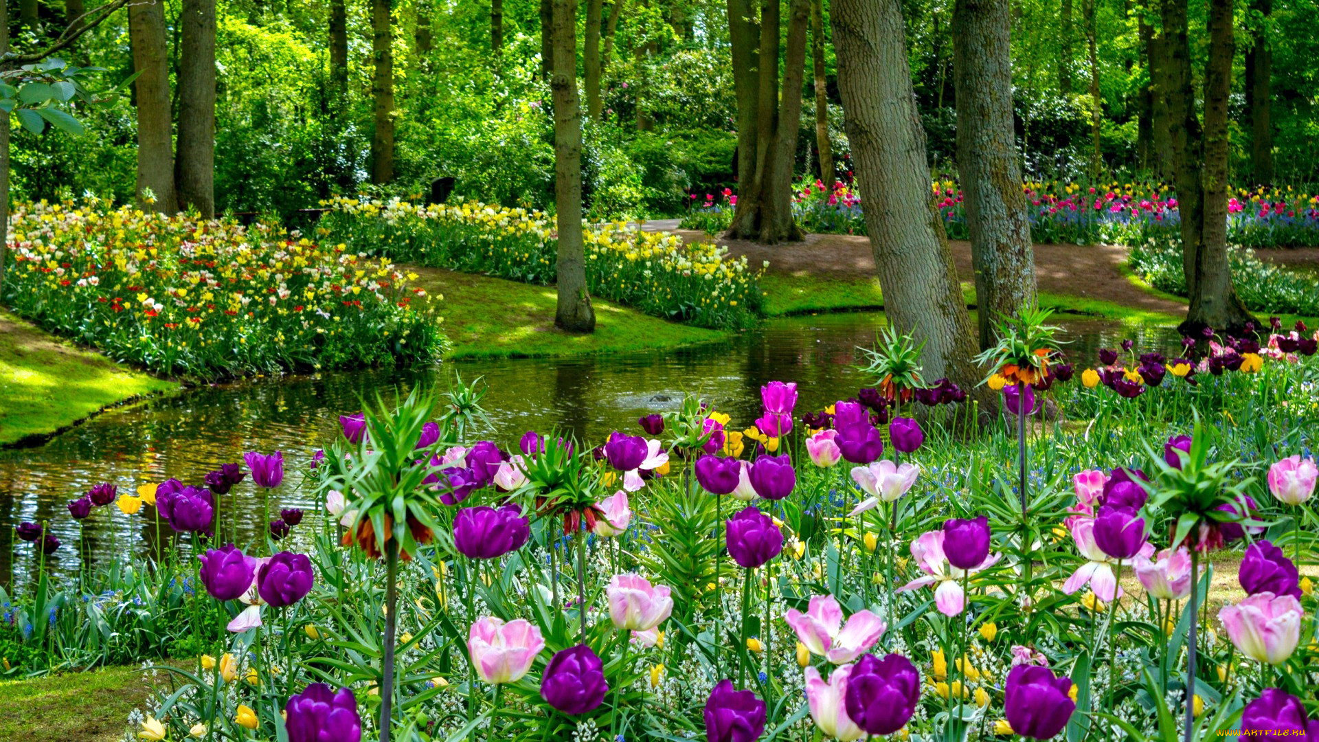 keukenhof park, netherlands, , , keukenhof, park